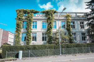 Denkmalpflege Fassade Kletterpflanzen