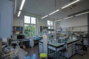 ETH-Labor neue Fenster